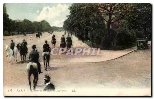 Paris Cartes postales Avenue du Bois de Boulogne (cheveaux horse cheval)