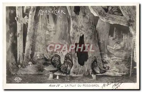 Cartes postales Fantaisie Chantecler Acte IV la nuit du Rossignol (coq)