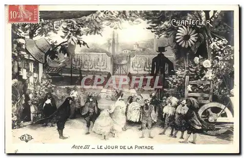 Cartes postales Fantaisie Chantecler Acte III Le jour de la pintade