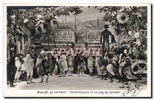 Cartes postales Fantaisie Chantecler Acte III le combat Chantecler et le coq de combat