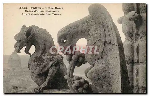 Paris Ansichtskarte AK Notre Dame Bete d&#39amortissement a la balustrade des tours