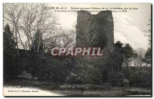 Lire Ansichtskarte AK Ruines du vieux chateau de la Turmeliere sur la Cour