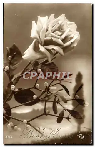 Cartes postales FAntaisie Fleur Rose Bonne anne