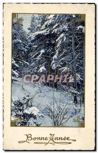 Cartes postales Fantaisie Bonne annee