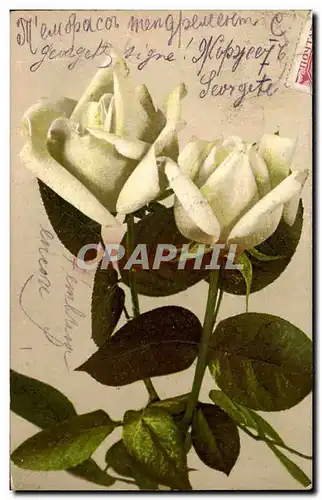 Cartes postales Fantaisie Fleur