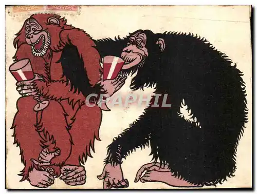 Cartes postales Fantaisie Singes buvant du vin (alcool)