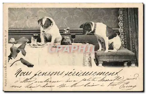 Cartes postales Fantaisie Chiens (chien dog)