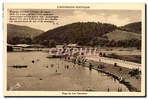 Auvergne Poetique - Plage du lac Chambon Paysage charmeur a l&#39ombre des sapins - Cartes postales