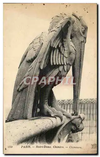 Paris - 4 - Notre Dame - Chimere - Chimoera - Gargoyle - Pelican - Cartes postales