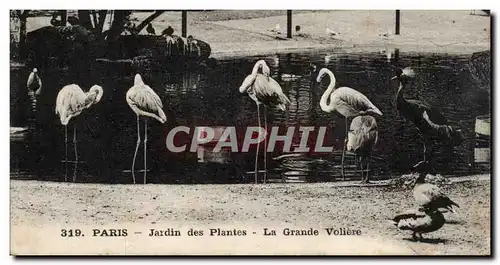 Paris - 5 - Jardin des Plantes - La Grande Voliere - Ansichtskarte AK