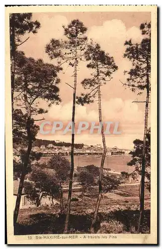 Ste Maxime sur Mer - A travers les Pins - Cartes postales