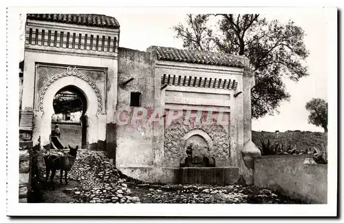 Afrique - Africa - Maroc - Morocco - Meknes - Fontaine et Porte sur les Remparts - ane - donkey - CP