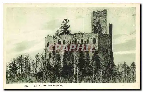 Cartes postales Ruine Spesbourg