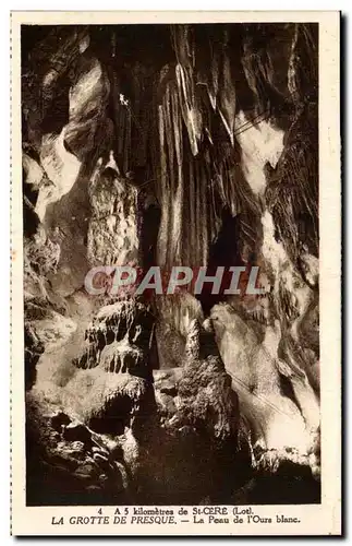 Cartes postales a 5 km de Saint Cere La peau de l'ours blanc (bear)