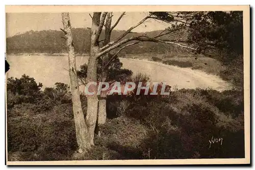 Cartes postales Les iles d&#39Hyeres Porquerolles La grande plage