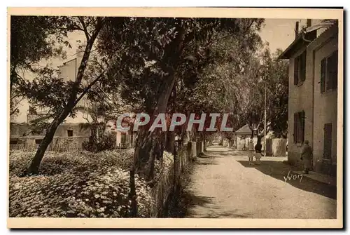 Cartes postales Les iles d'Hyeres Porquerolles La rue principale