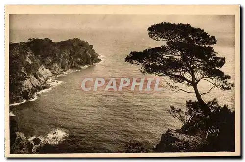 Ansichtskarte AK Les iles d&#39Hyeres Porquerolles Pointe de l&#39Oustaou de Diou