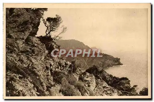 Cartes postales Les iles d'Hyeres Porquerolles Vue sur la pointe de l'Oustaou de Diou et le grand Seraine