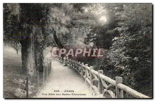 Paris - 19 - Une Allee aux Buttes Chaumont - Ansichtskarte AK