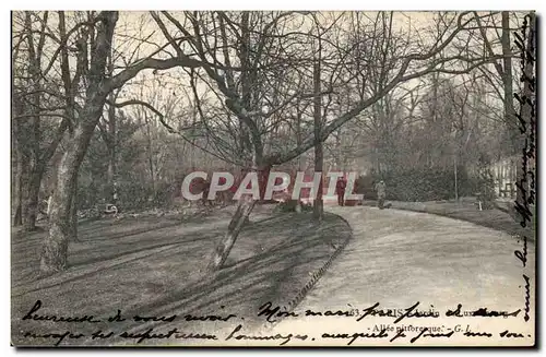 Paris - 6 - Jardin du Luxembourg - Une Allee Pittoresque - Ansichtskarte AK