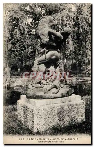 Paris Cartes postales Museum d&#39histoire naturelle Denicheurs d&#39oursons (ours bear)