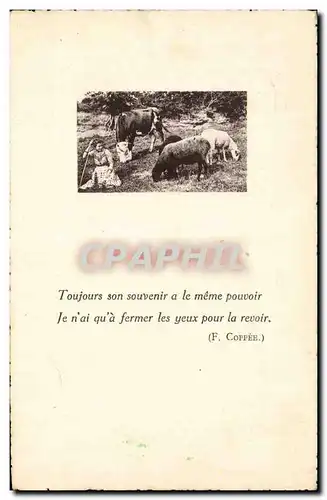 Cartes postales Vaches et moutons Elevage