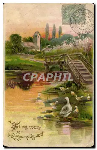 Animaux - Canard - duck - nice country scene - Cartes postales