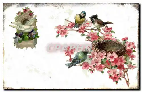 Cartes postales Fantaisie Oiseaux