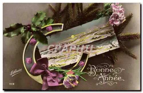 Cartes postales Fantaisie Bonne annee Fer a cheval