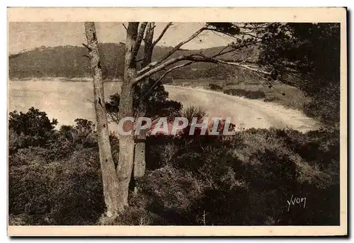 Cartes postales Les iles d'Hyeres Porquerolles la grande plage