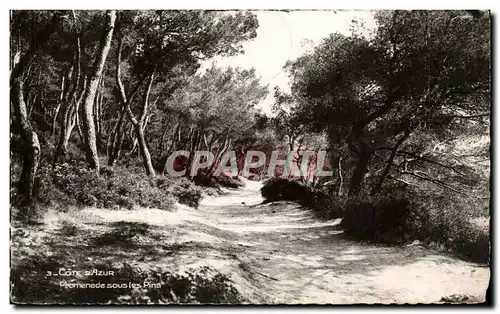 Cartes postales La cote d&#39azur