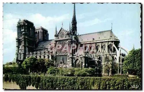 Paris Cartes postales moderne Notre Dame