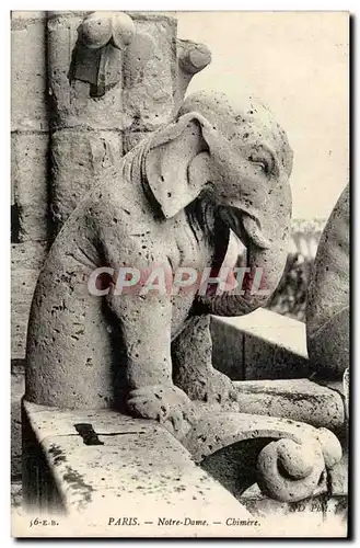 Paris Ansichtskarte AK Notre Dame Chimere (elephant)