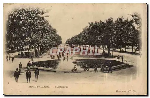 Cartes postales Montpellier L'esplanade