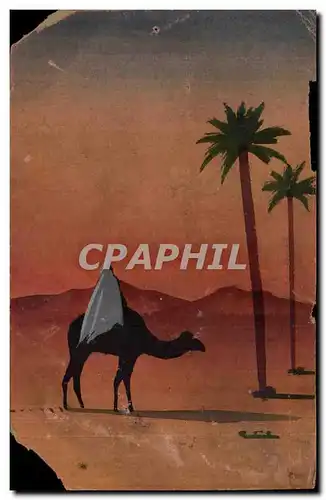 Ansichtskarte AK Chameau dans le desert camel