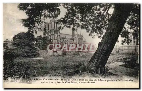 Ansichtskarte AK Paris Vue d&#39ensemble de Notre DAme prise au pied de l&#39acacia plusieurs fois centenaire Clo