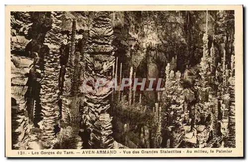 Ansichtskarte AK Gorges du Tarn Aven Armand Vue des grandes stalactites Au milieu le palmier