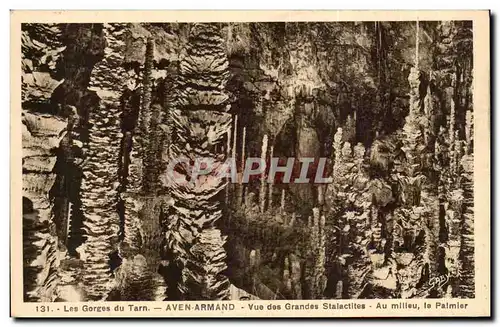 Cartes postales Gorges du Tarn Aven Armand Vue des grandes stalactites Au milieu le palmier