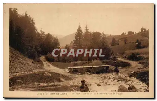 Ansichtskarte AK Villard de lans Le bois Damier et la passerelle sur la FAuge