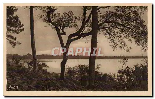 Cartes postales Les landes de Gascogne L&#39etang blanc pres de dax