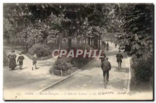 Paris Cartes postales Bois de Boulogne L&#39allee des Erables ( velo cycle cycling )