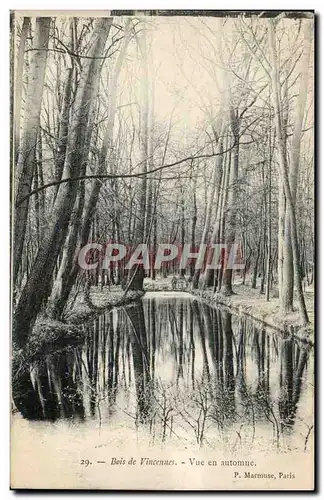 Paris - 12 - Bois de Vincennes - Vue en automne - fall - Ansichtskarte AK