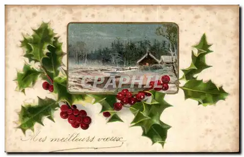 Fetes - Mes Meillures Voeux - houx - holly - Cartes postales