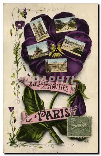 Paris - Souvenir - Pensee - Pansy - Meilleures Amities Cartes postales