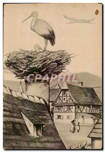 Animaux - Oiseaux - Cignone - Stork - nid en Alsace - Ansichtskarte AK