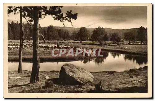Mont Louis - La Tete au Pla des Avellans - Cartes postales