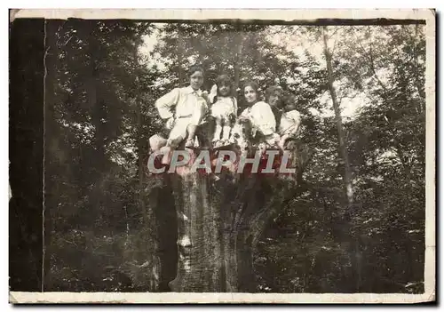CARTE PHOTO Garche Paris Fantaisie - Enfant - children - tree house fun Cartes postales Madame Gay et Max Gay 19