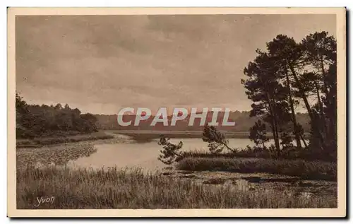 Gers - Yvon - La Douce France - Les Landes de Gasgogne - L&#39Etang de Moliet Ansichtskarte AK