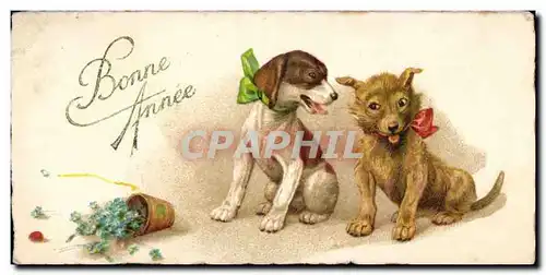 Animaux - Chiens Chien Dog darling dogs - Bonne Annee Cartes postales