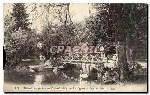 Cartes postales Tours Jardins des Prebendes d&#39Oe Les cygnes au pont du haut